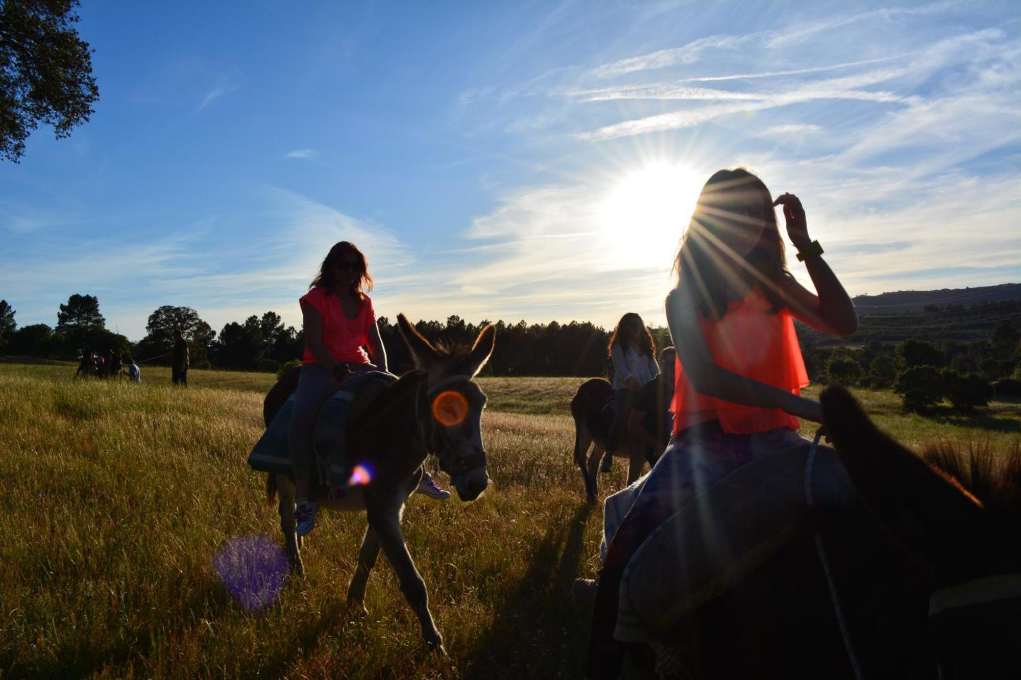 Turismo Rural 4Quintas Minhocal Eksteriør bilde