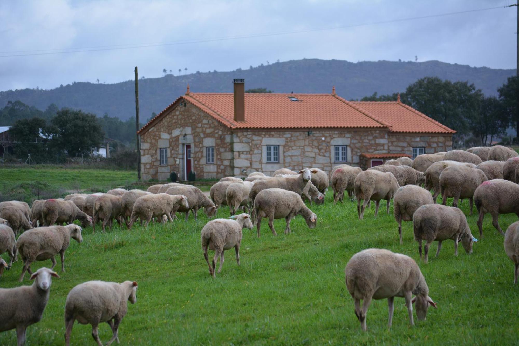 Turismo Rural 4Quintas Minhocal Eksteriør bilde