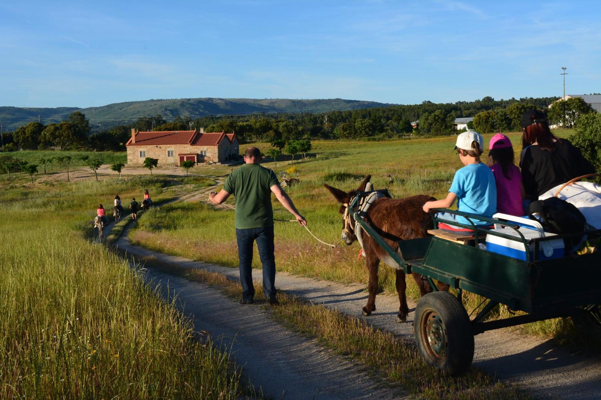 Turismo Rural 4Quintas Minhocal Eksteriør bilde